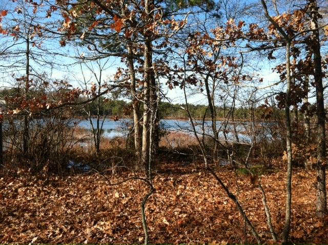 CRAG pond